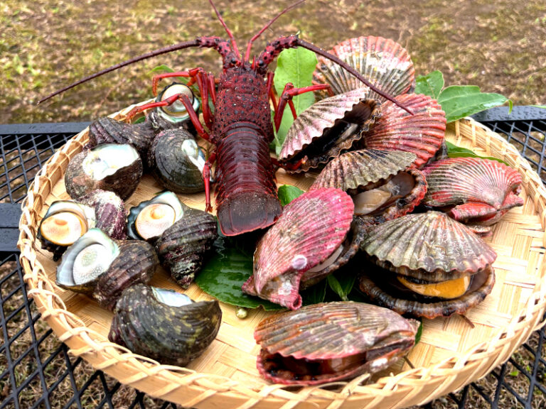 伊勢志摩 海の恵みセット